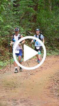 BIB:  <button type="button" onclick="openModal(26817544)" class="btn btn-primary btn-sm float-right" data-toggle="modal" data-target=".modal-high-quality">
                <i class="fa fa-download"></i> Download
                </button>